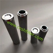 Element filtra za elektranu DP2B01EA10V / -F